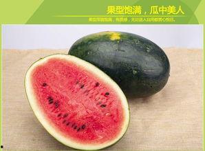 黑瓜吃料官网,揭秘美食背后的秘密与美味之旅