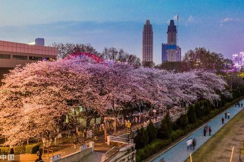 抖音网红吃瓜 入口在哪,入口之谜，带你一探究竟