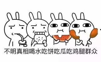 永不迷路吃瓜网,揭秘网络世界的绿色导航之旅