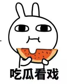 永不迷路吃瓜网,揭秘网络世界的绿色导航之旅