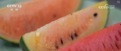 吃瓜新闻网最新,揭秘娱乐圈最新热点事件，带你一探究竟！