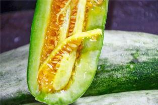 网红吃瓜网站网,娱乐圈幕后真相大曝光