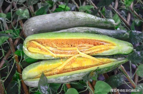 网红吃瓜网站网,娱乐圈幕后真相大曝光