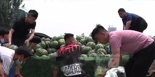 文安吃瓜网红事件