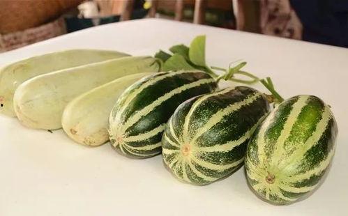 吃网红塌房的瓜,揭秘网络红人背后的真相