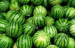 漳州网红吃瓜群微信群号,微信群号背后的火热话题与社交圈”