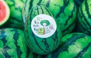 只吃瓜不看戏的网红,揭秘只吃瓜不看戏的网红生活