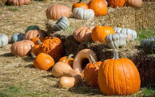 798吃瓜网,揭秘娱乐圈最新热点，带你领略幕后故事