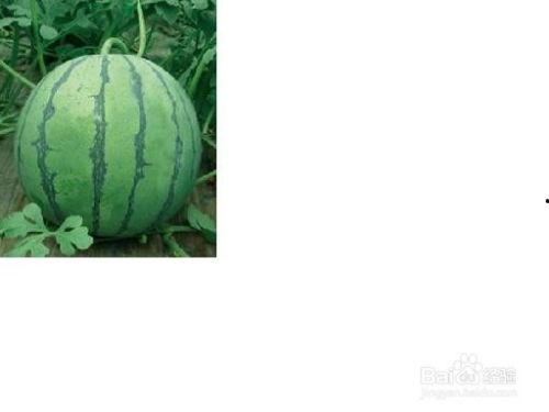 推特网皇吃瓜事件,揭秘网络舆论背后的真相与争议”