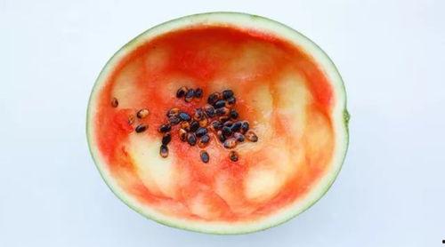 网红大勺子吃瓜视频大全,揭秘娱乐圈幕后故事