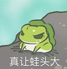 网红青蛙吃瓜看别人吵架,围观网红青蛙的吵架现场