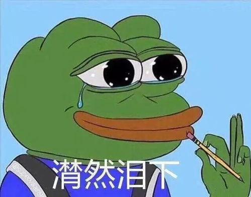 网红青蛙吃瓜看别人吵架,围观网红青蛙的吵架现场