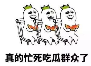 吃瓜网没有了吗,揭秘网络舆论风向标，探寻消失背后的真相