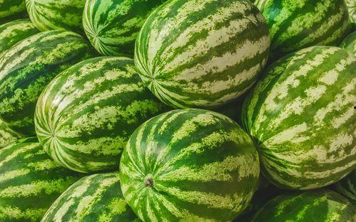 吃瓜福州网红,揭秘网络红人的魅力与争议