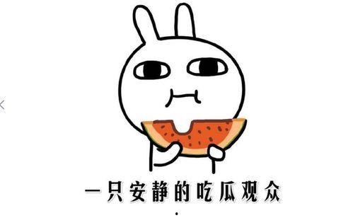 抖音吃瓜的有哪些网红,揭秘热门网红背后的故事