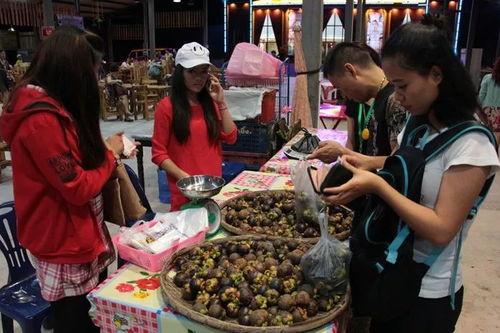 老挝网红吃瓜最新视频,揭秘当地奇闻轶事