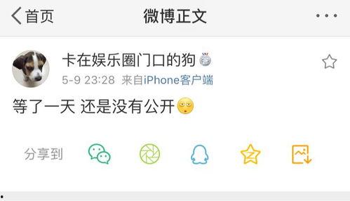 吃瓜爆料中心官网,揭秘娱乐圈幕后真相