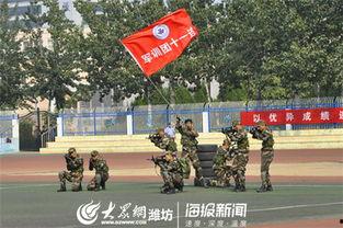 潍坊学院军训吃瓜网,吃瓜网里的青春记忆