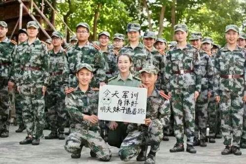 潍坊学院军训吃瓜网,吃瓜网里的青春记忆  第2张