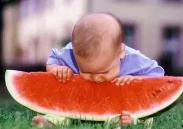 吃瓜网399  第1张