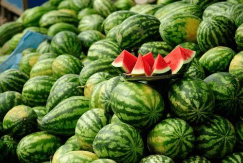 可以吃瓜的网红,揭秘网红们的美食盛宴  第2张