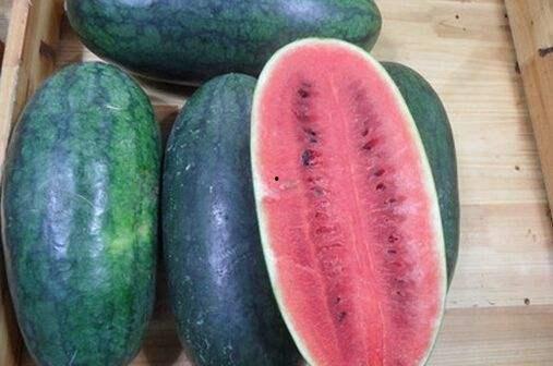 每日黑瓜吃料网今日更新,揭秘今日热点事件，吃料网新鲜资讯速递  第2张