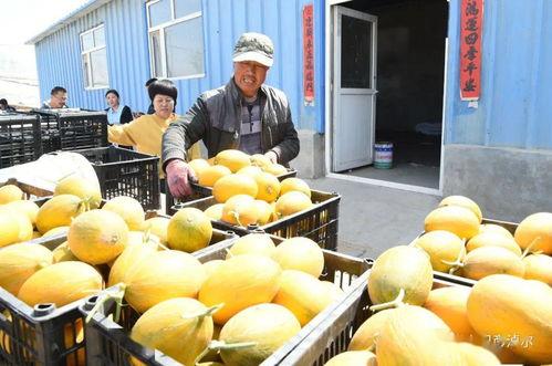 网红吃瓜 中国,揭秘网络热点背后的故事  第1张