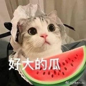 网爆网红吃瓜图片高清  第2张