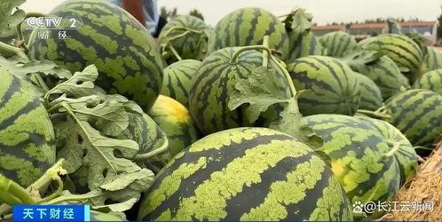 吃瓜网热门大瓜每日更新,吃瓜网带你领略娱乐圈风云变幻