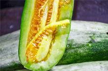 在线吃瓜网红排行榜,瓜王争霸，谁主沉浮？  第3张