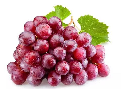 网红吃瓜葡萄图片,揭秘瓜界新宠儿的魅力瞬间  第2张