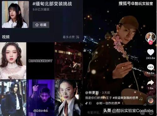 网红吃瓜老太太视频播放,揭秘网络红人的魅力与争议  第3张