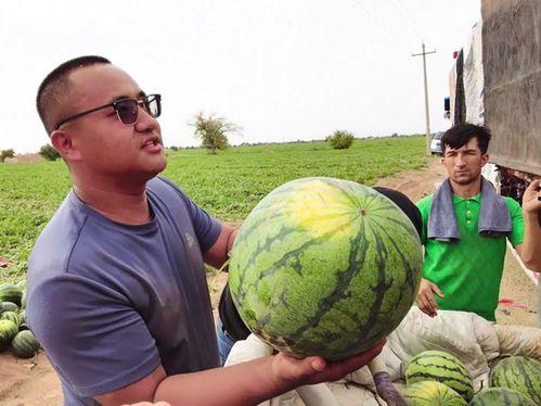 林州吃瓜网  第3张