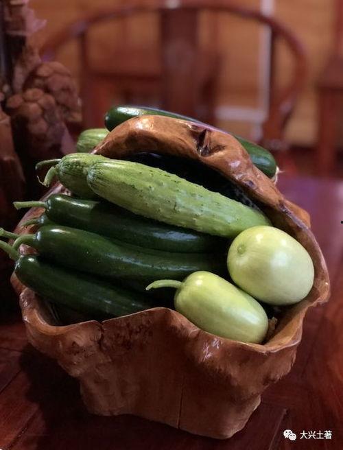 网红吃瓜王钟瑶,揭秘网红吃瓜王的瓜界传奇  第2张