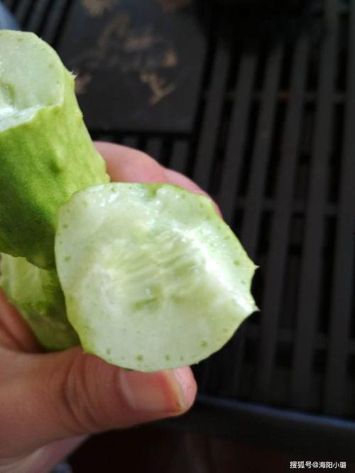 海阳吃网瓜视频,揭秘网络红人美食挑战背后的故事 第3张 海阳吃网瓜视频,揭秘网络红人美食挑战背后的故事 第3张